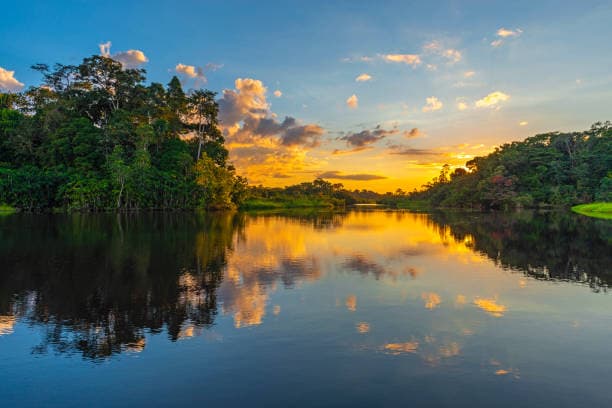 Amazonas