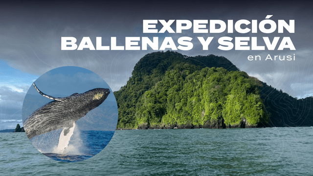 imagen de viaje