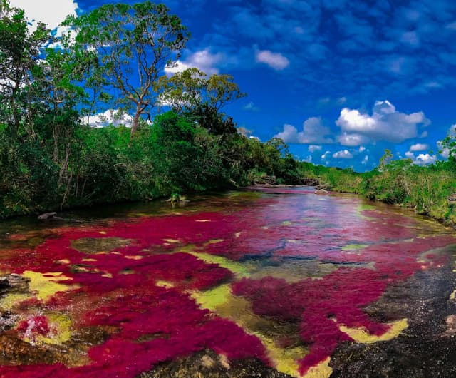 imagen de viaje