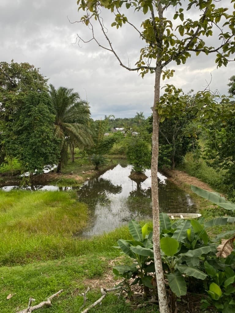 Guapi