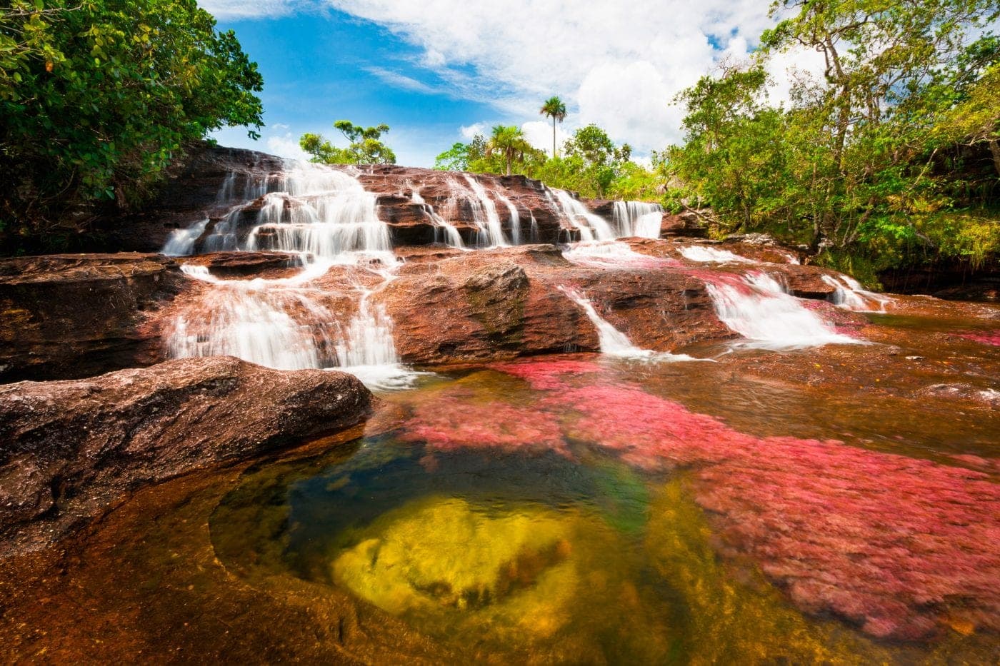 Caño Cristales