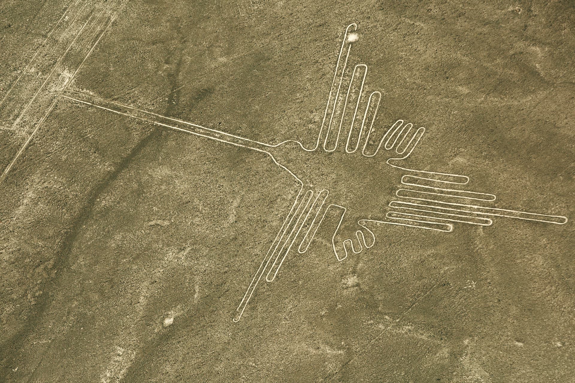 Unveiling the Mysteries of the Nazca Lines: A Journey Up Close